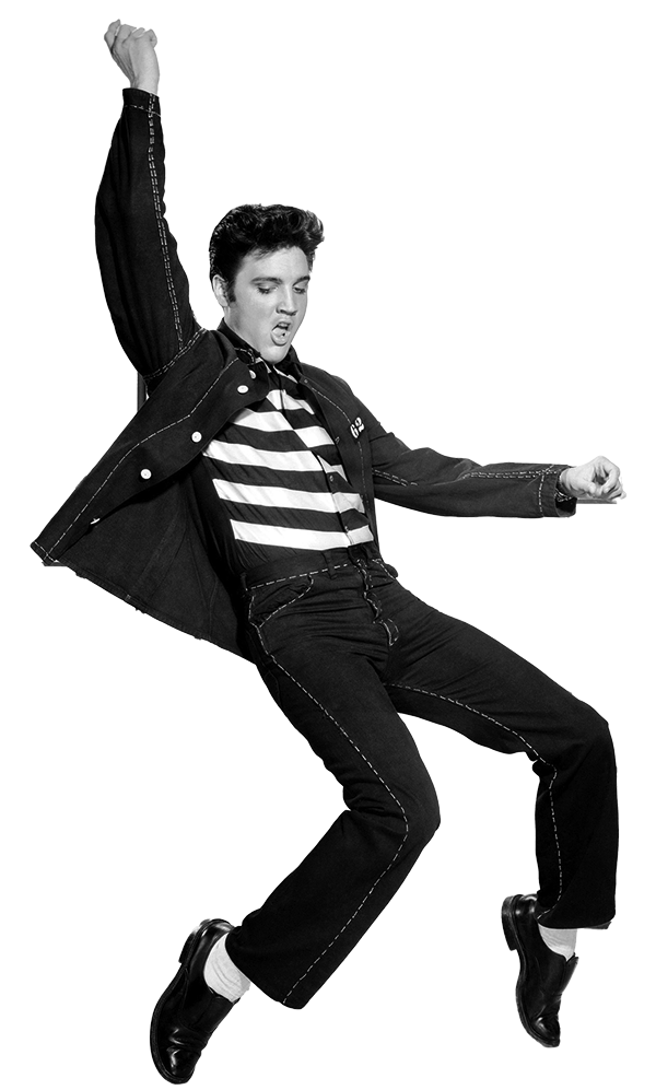 I Knew Elvis Homepage Photo